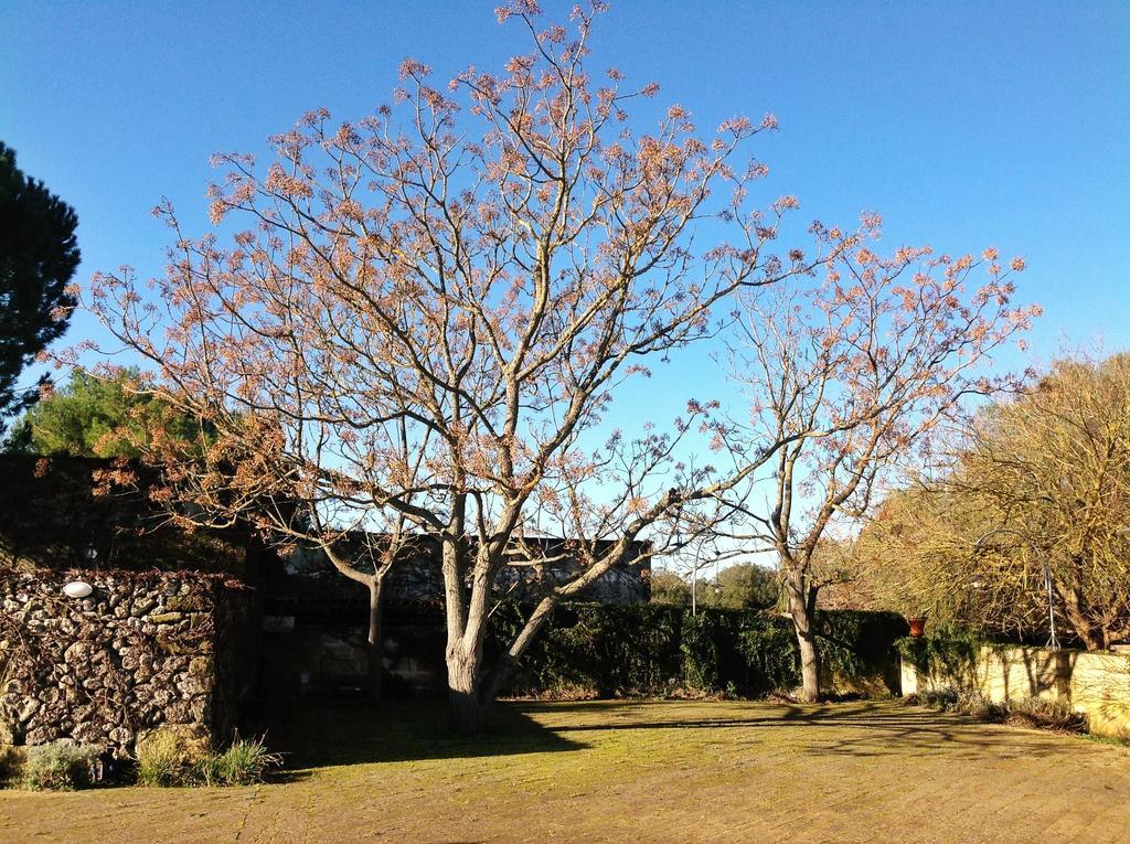 Tenuta Sant'Andrea Giuggianello Εξωτερικό φωτογραφία