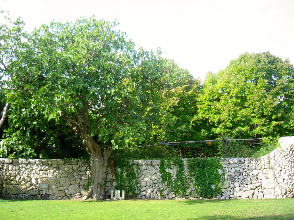 Tenuta Sant'Andrea Giuggianello Εξωτερικό φωτογραφία